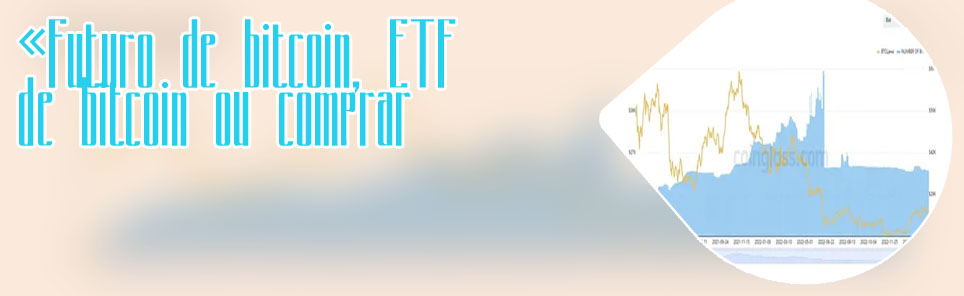 Purpose bitcoin etf